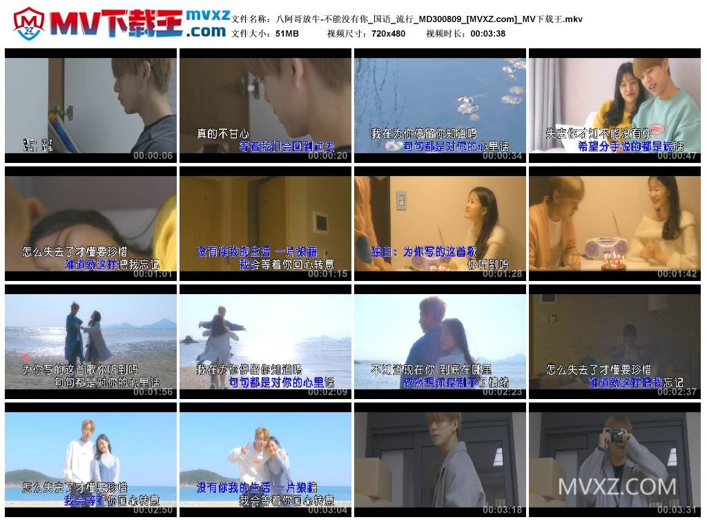 八阿哥放牛-不能没有你_国语_流行_MD300809